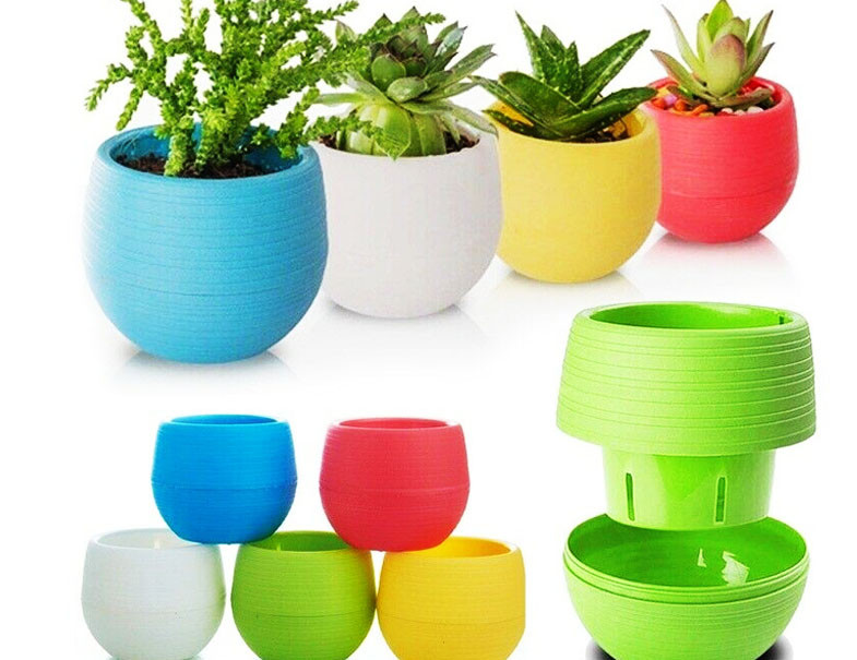 POT SHOP - MELE CHOVVA