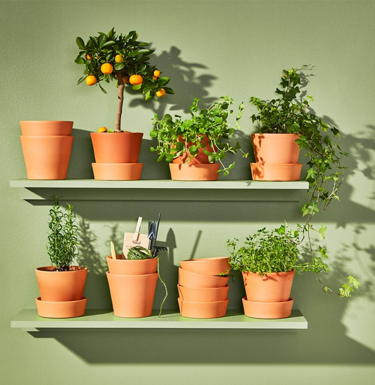 POT SHOP - MELE CHOVVA