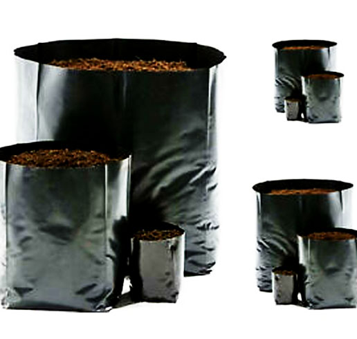 POT SHOP - MELE CHOVVA